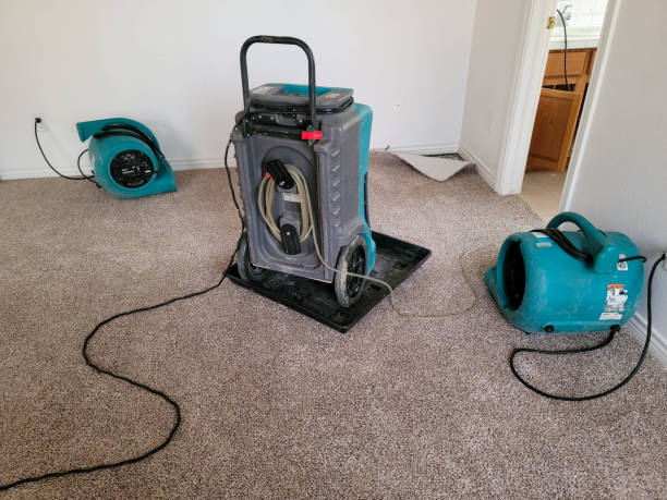 Best Water damage restoration specialists  in Summit Park, UT