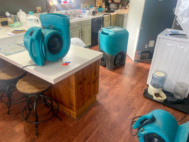 Best Professional water damage repair  in Summit Park, UT