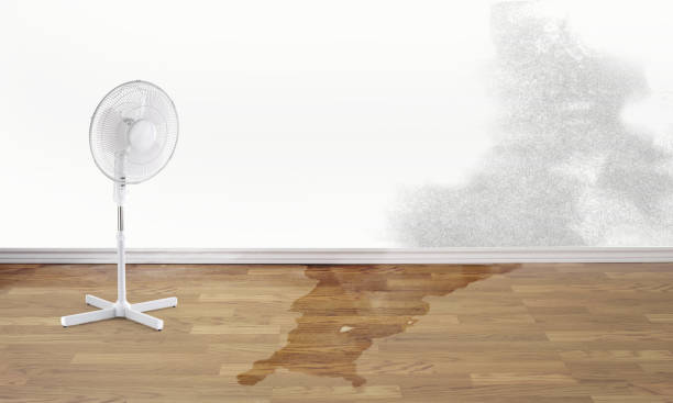 Best Emergency water damage restoration  in Summit Park, UT