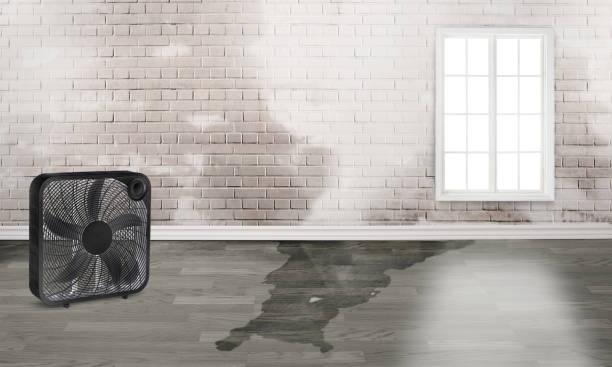 Best Flood restoration services  in Summit Park, UT