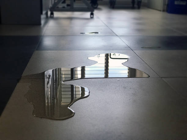 Water damage restoration insurance claims in UT