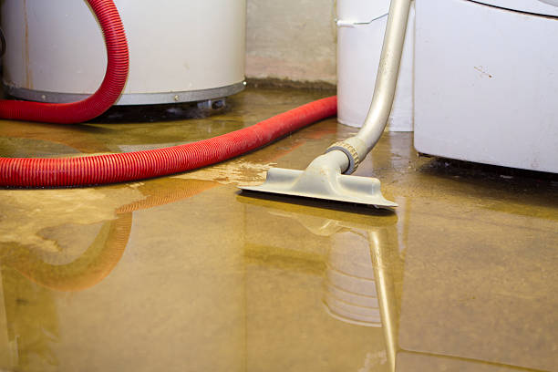 Best Sewage cleanup and water damage restoration  in Summit Park, UT