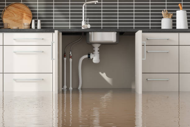 Best Water damage restoration insurance claims  in Summit Park, UT