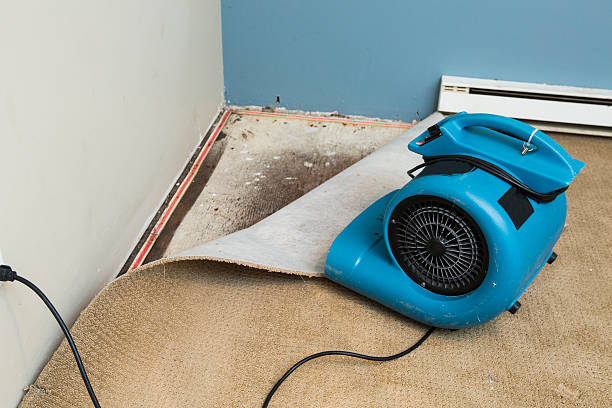 Best 24/7 water damage repair  in Summit Park, UT